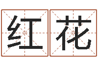 罗红花民生瞅-免费起测名公司名字