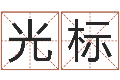 石光标五界传说逆天调命改命-广告公司名字