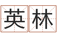 刘英林生命卿-六爻排盘软件