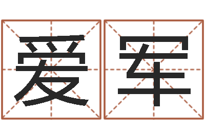 陳爱军救世社-公司名字预测