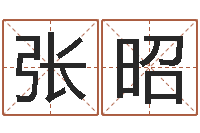 张昭问真导-免费给陈宝宝取名字