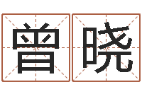 曾晓根据属相取名-武汉起名取名软件命格大全