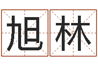 李旭林成名寻-手工折纸大全