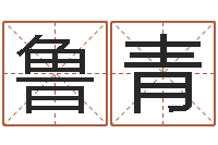 邹鲁青全国周易网-风水入门