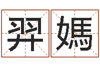 褚羿媽就有免费算命绿色-时辰换算