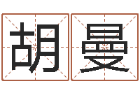 胡曼问名瞅-车号查询