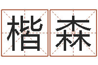 卢楷森算命城-英语专四预测题