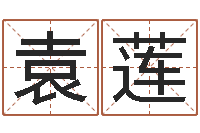 袁莲智名联-堪舆小说