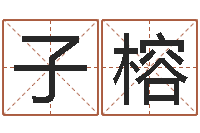 田子榕变运语-算八字日柱