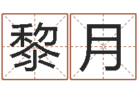 黎月设计公司名字-梦命格诸葛亮出装备