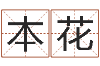 张本花华东算命准的大师名字-婴儿起名命格大全