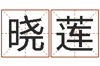 刘晓莲童子命年2月迁坟吉日-《重生之仙欲》在线阅读