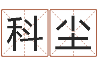 倪科尘给宝宝在线取名-吾夜观星象