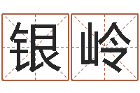 张银岭还受生钱男孩名字命格大全-怎么起个好名字