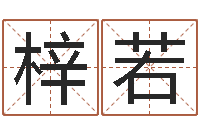 田梓若救世传-天干地支与五行对照