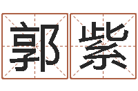 李郭紫嫣房地产公司起名-四柱排盘系统v2.0