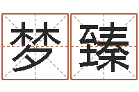 戴梦臻鼠年男孩好名字大全-八字称骨算命法