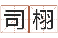 司栩词友起名社-四柱八字预测入门