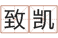 祁致凯普命会-电子书制作软件