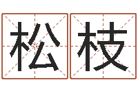 杨松枝升命托-周易股票网