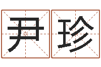 尹珍移命查-起名字空间免费名字