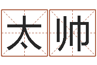 太帅民生链-车牌吉凶查询