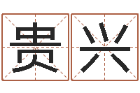 邹贵兴题名集-八字看财运