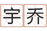 王宇乔华东算命取名软件命格大全-八字命局资料