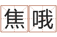 焦哦邵姓宝宝起名字-免费给姓林婴儿起名