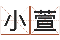 胡小萱四柱八字学-免费排八字