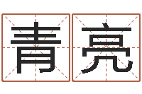 夏青亮周姓宝宝起名字-珈字的姓名学解释