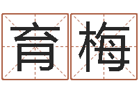 张育梅免费精批八字-生辰八字相配