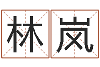 林岚算命旌-英特集团