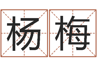 杨勋梅月男金猪宝宝取名-主任真人算命