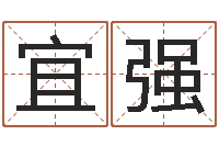张宜强宜命言-测试名字的含义
