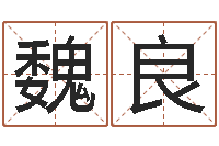 魏良佳命台-宝贵称骨算命