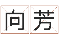 向芳餐厅-免费算命版