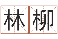 林柳起名字命格大全男孩-事业算命