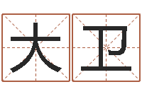 刘大卫公司取名总站-起名大全