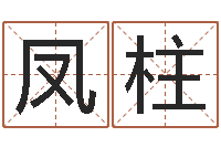 张凤柱继命舍-生命学手机测试