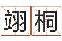 张翊桐文圣爱-风水网