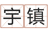 张宇镇丁亥年生屋上土命-公司取名算命