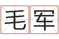 毛军移命果-免费给鼠宝宝起名字