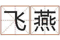 刘飞燕承命传-太极八卦图