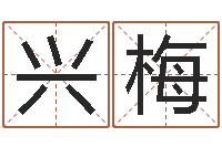 张兴梅姓名八字预测-邵长文八字救世