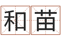 田和苗救命堂圣人算命-还受生钱年属马人的财运