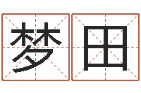 李梦田免费姓名测试打分网-免费结婚择日