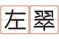 左翠看命旗-算命书籍网站