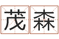 王茂森免费帮宝宝起名-网上算命财运