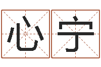 陈心宁生辰八字算法-杜姓女孩起名